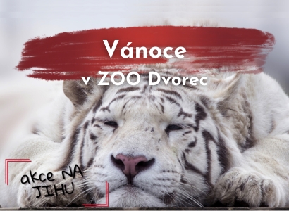 Vánoce v ZOO Dvorec